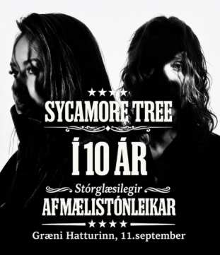 Sycamore Tree