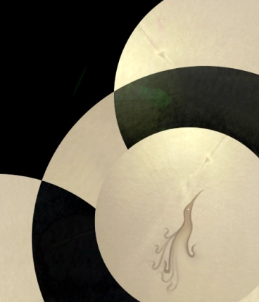 Hverafugl – Jónas Sig & Pétur Nói: Alþýðan & orgelið