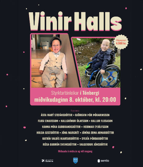 Vinir Halls - styrktartónleikar