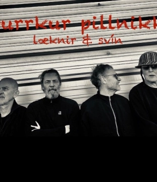 Purrkur Pilnikk
