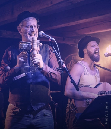 Ljótu Hálfvitarnir