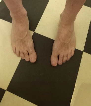 Sumarsýning Kómedíuleikhússins Haukadal