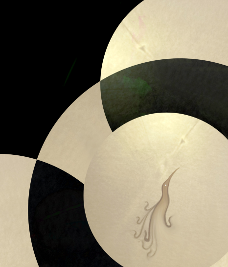 Hverafugl – Jónas Sig & Pétur Nói: Alþýðan & orgelið í morgunflæði