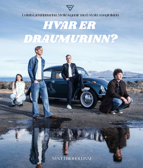 Leiksýningin Hvar er draumurinn? 